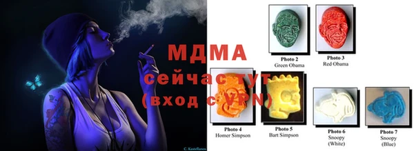 стафф Аркадак