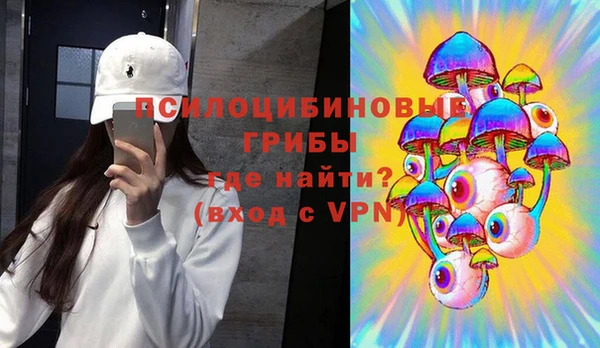 СК Арсеньев