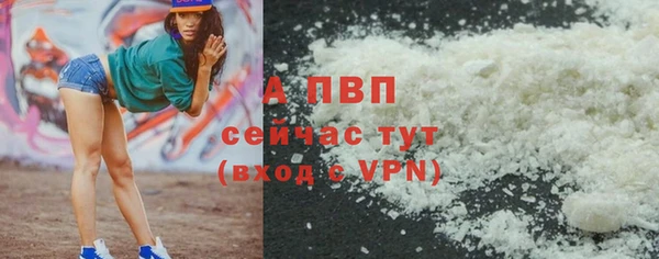 стафф Аркадак