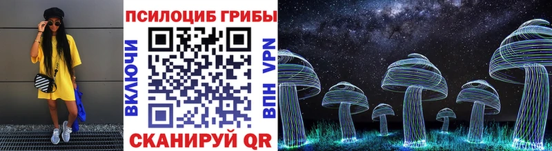Псилоцибиновые грибы Magic Shrooms  купить наркотик  Цивильск 