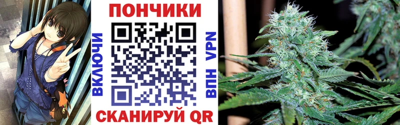 магазин продажи наркотиков  Цивильск  это какой сайт  МАРИХУАНА OG Kush 